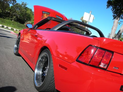 1998 Ford Crown Victoria - Low-angle rear shot of a red Ford Mustang SVT convertible with chrome wheels and a flame-painted hood on a sunny street.