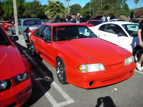 1998 Ford Crown Victoria - red Fox-body Ford Mustang hatchback with five-spoke wheels parked among other cars at an outdoor show.