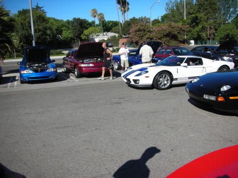 1998 Ford Crown Victoria - white Ford GT with blue stripes parked among open-hood show cars and a black sports car in a sunny lot.