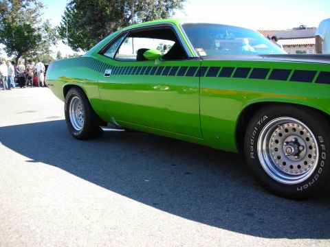 1998 Ford Crown Victoria - Side view of a lime-green Plymouth Barracuda showing its black hockey-stick stripe, polished wheels and BFGoodrich Radial T/A tires.