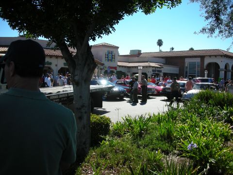 1998 Ford Crown Victoria - Outdoor car-show scene with a crowd of spectators gathered around parked cars in a plaza lot, framed by a tree and foreground shrubs.