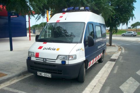 1991 Ford Crown Victoria - renault master