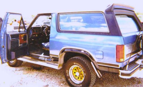 1984 Ford Bronco - Rear view of a blue 1984 Ford Bronco, showing its interior with the doors ajar.
