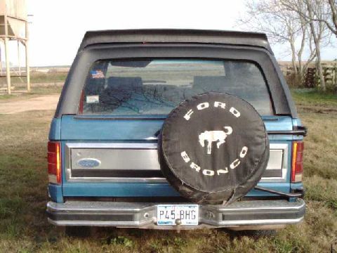 1984 Ford Bronco - Rear view of a 1984 Ford Bronco, a spare tire cover with the Bronco emblem.