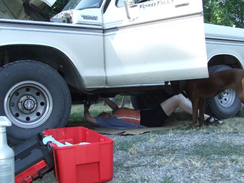 1979 Ford Bronco - A person works on the underside of a white Ford Bronco while a dog watches.