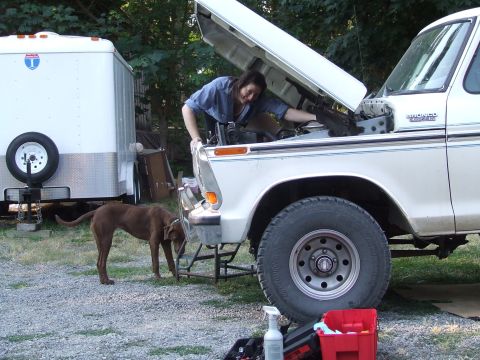 1979 Ford Bronco - A person works on the engine of a white 1979 Ford Bronco, with a trailer and a dog nearby.
