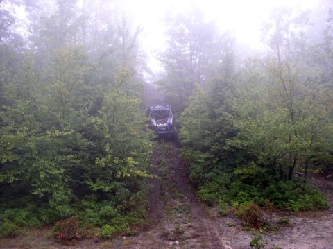 1988 Ford Bronco - A vehicle navigates a wet, wooded path on a foggy day.