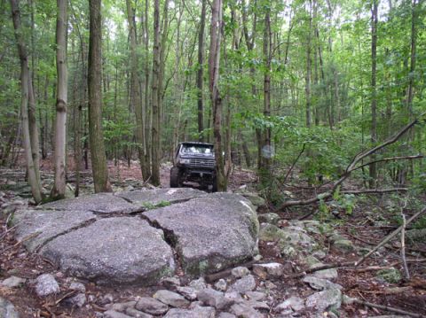 1988 Ford Bronco - A vehicle drives through a dense forest with large rocks and fallen branches on the path.