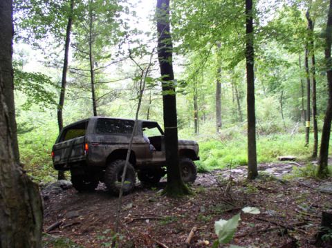 1988 Ford Bronco - A classic Ford Bronco navigates a rocky, wooded path with lush green trees surrounding it.