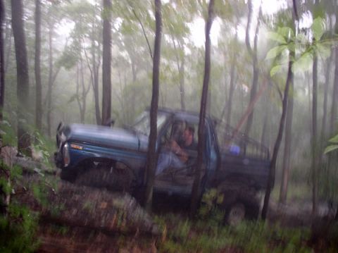 1988 Ford Bronco - A blue pickup truck maneuvers through a dense forest, its occupants visible through the open door.