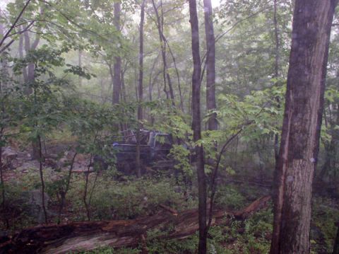 1988 Ford Bronco - An old truck sits abandoned in a dense forest, overgrown with vegetation.