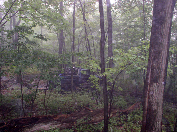 Abandoned truck in a forest, partially obscured by trees and foliage
