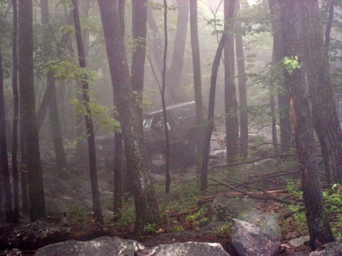 1988 Ford Bronco - A vehicle drives through a dense forest with low visibility due to fog.