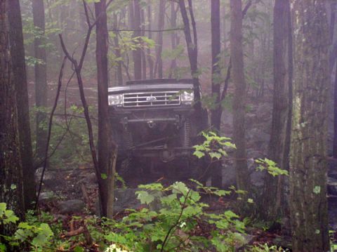 1988 Ford Bronco - A black Ford Bronco navigates a foggy, wooded trail with its front end visible.