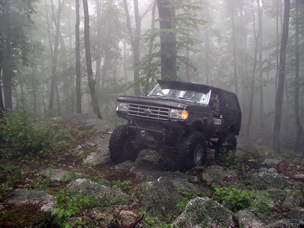 Black Ford Bronco climbing over rocks in a foggy forest. It has a sticker on the door that says 'TEAM'