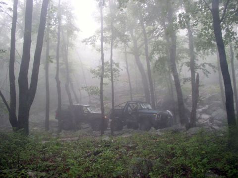 1988 Ford Bronco - Two 4x4s staged on a rocky trail deep in fog-shrouded hardwood forest, a doorless rig with an exposed roll cage in the foreground and a sec…