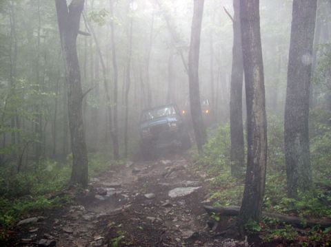 1988 Ford Bronco - A blue 1988 Ford Bronco navigates a challenging, muddy path through a dense, fog-shrouded forest.