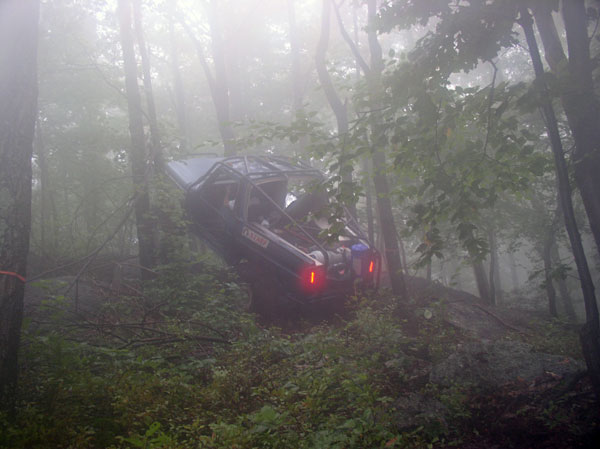 Off-road vehicle tilted on a wooded slope with fog obscuring the background