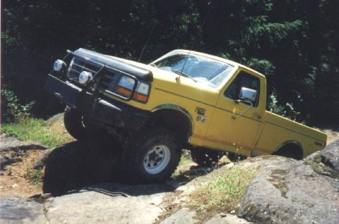 1995 Ford F-150 photo