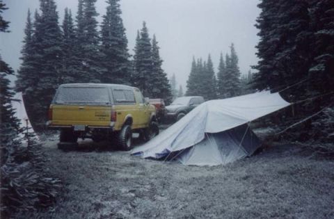 1995 Ford F-150 photo