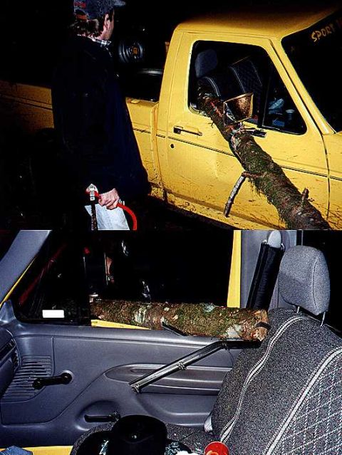 1995 Ford F-150 photo