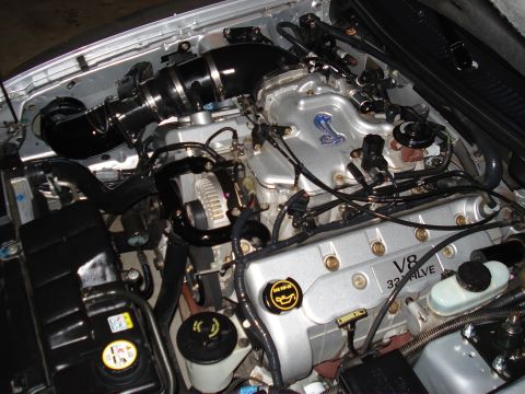 1998 Ford Taurus - Close-up of a V8 32-valve engine a Cobra emblem and aftermarket intake components.