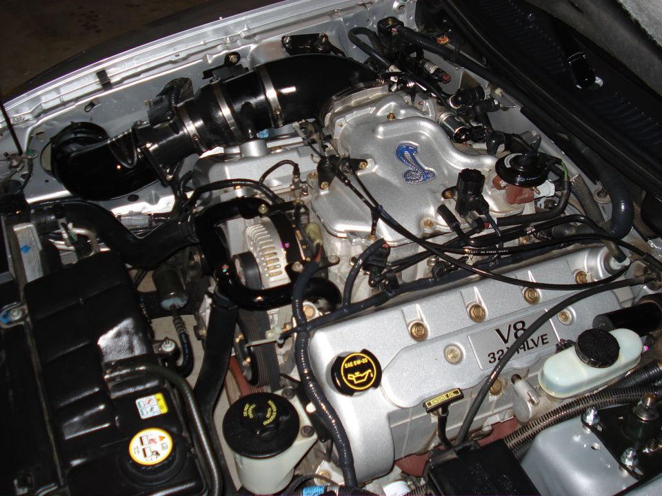 Engine with V8 32 VALVE badging and Cobra emblem