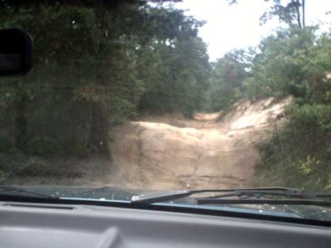 1996 Ford Bronco - Driving on a challenging off-road trail surrounded by dense trees.