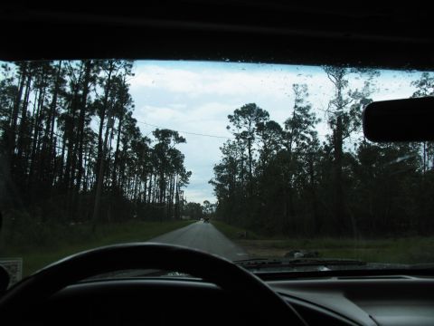 1995 Ford C-350 (Centurion Conversions) - View from inside a vehicle as it travels down a road bordered by dense trees under a cloudy sky.