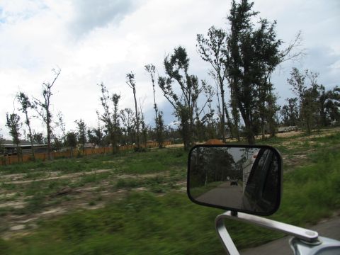 1995 Ford C-350 (Centurion Conversions) - View from a vehicle's side mirror shows a road and storm-damaged trees, suggesting a recent natural disaster.