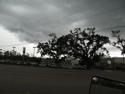 1995 Ford C-350 (Centurion Conversions) - A view of a parking lot filled with vehicles, overshadowed by a stormy sky and silhouetted trees.