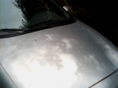 1998 Ford Taurus - The front of a silver car shows significant paint damage on the hood.