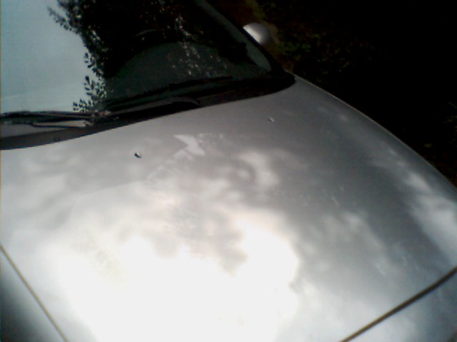 Silver car hood with peeling clear coat, windshield with reflections of trees