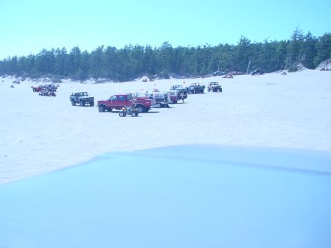 1979 Ford Bronco - A variety of off-road vehicles and ATVs are gathered on a sandy beach, with a line of trees bordering the dunes.