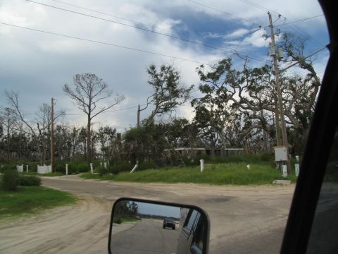 1995 Ford C-350 (Centurion Conversions) - A scene of destruction with damaged trees and a distant vehicle on the road.