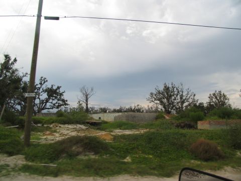 1995 Ford C-350 (Centurion Conversions) - A scene of destruction with damaged buildings and overgrown vegetation under a cloudy sky.