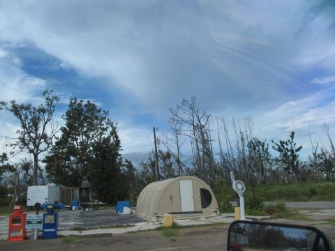 1995 Ford C-350 (Centurion Conversions) - A scene of disaster relief operations with a temporary shelter and a trailer, showing signs of damage to the surrounding trees.