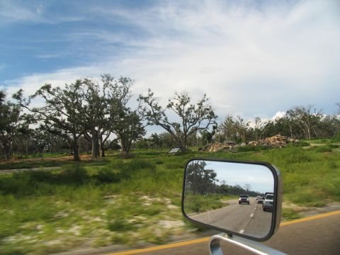 1995 Ford C-350 (Centurion Conversions) - Roadside view with trees and debris, other vehicles visible in the side mirror.