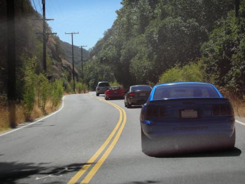 1998 Ford Crown Victoria - View from behind a blue Mustang Cobra following a line of cars along a winding two-lane canyon road lined with trees.