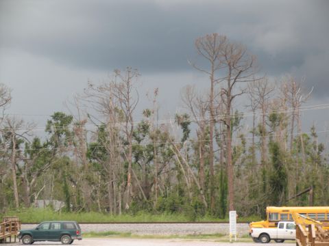 1995 Ford C-350 (Centurion Conversions) - A white pickup truck and a yellow school bus are parked near a railway line under a stormy sky.