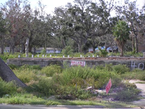1995 Ford C-350 (Centurion Conversions) - A construction site shows a cinder block foundation surrounded by dense vegetation and trees.