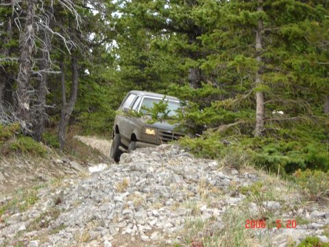 1995 Ford Bronco - A gray Ford Bronco navigates a rough, off-road path surrounded by trees.
