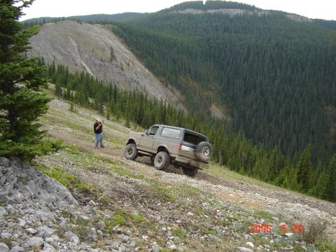 1995 Ford Bronco - A tan Ford Bronco navigates a steep, rocky mountain trail with a dense forest in the background.