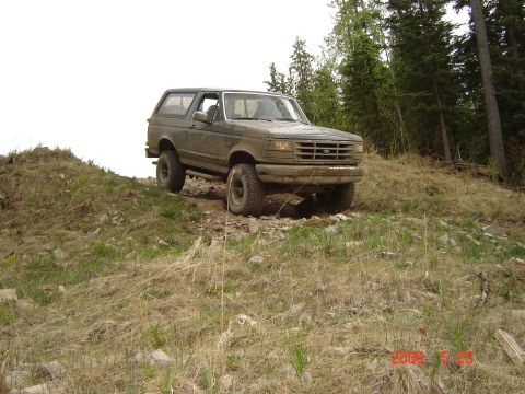 1995 Ford Bronco - This Ford Bronco is navigating a rough, off-road trail with trees in the background.