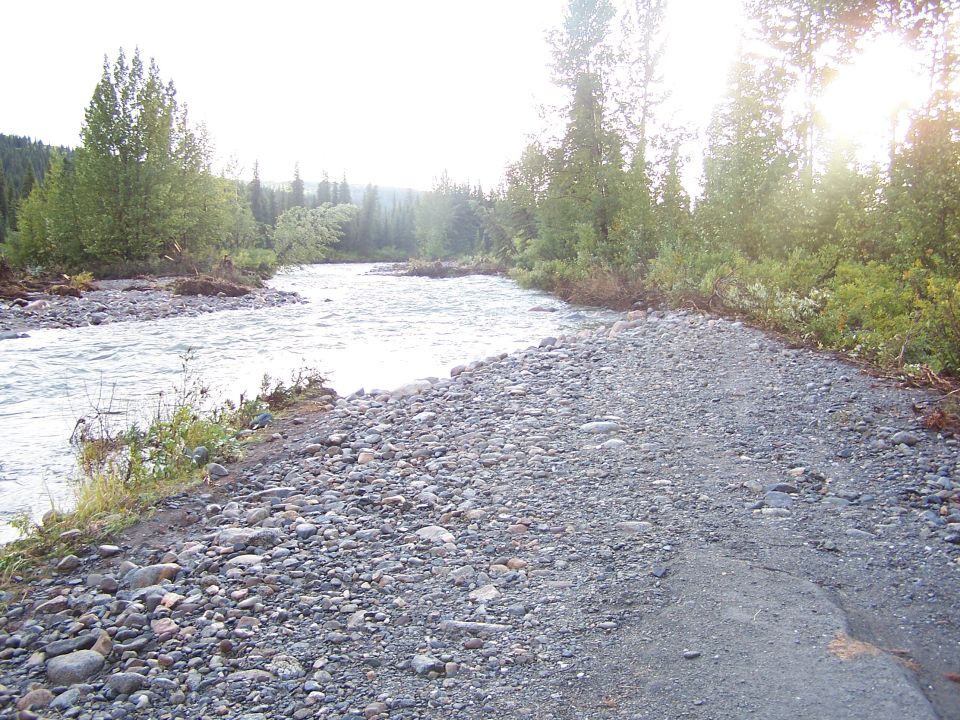 riverbank with gravel road and trees