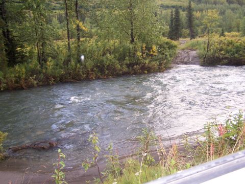 1979 Chevrolet Blazer - A river flows through a forest, with a dirt path visible leading into the water.