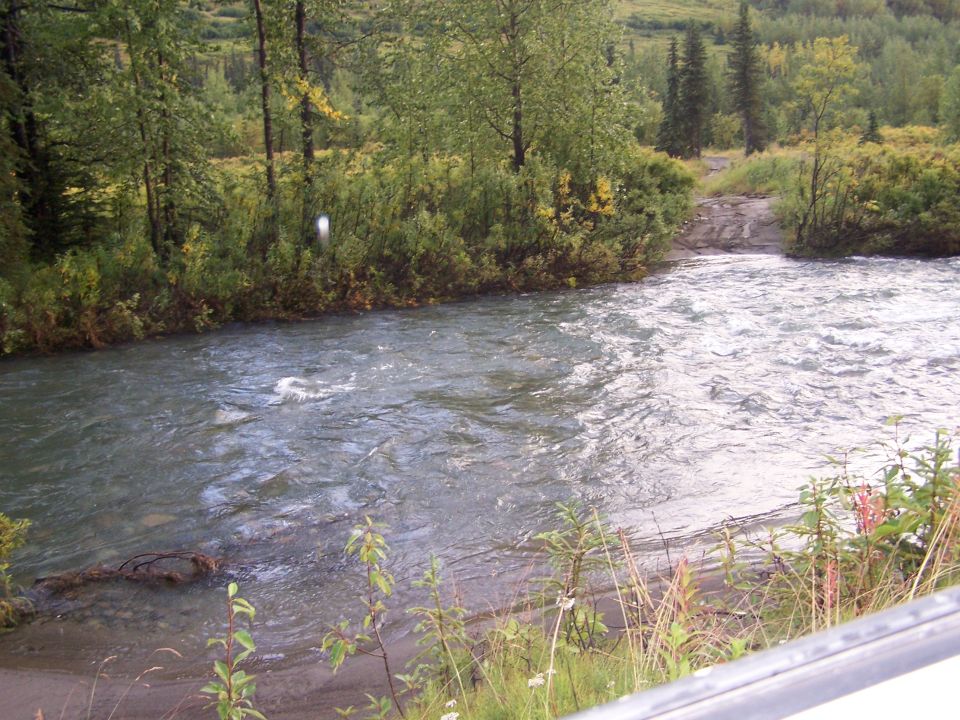 River flowing through a wooded area with a dirt ramp leading to the water