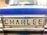 1989 Ford Bronco - My nickname for the grill guard.