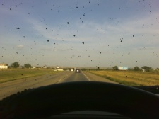 1989 Ford Bronco - Mud fleck on window....lol.