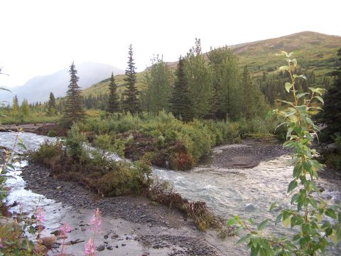 1979 Chevrolet Blazer - A scenic view of a river flowing through a wooded area with mountains in the background.